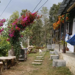 Отель Peace Guest House Pokhara Непал, Покхара - отзывы, цены и фото номеров - забронировать отель Peace Guest House Pokhara онлайн фото 9