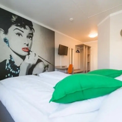 Отель Fjordgaarden Mo 3* Стандартный номер с различными типами кроватей фото 5