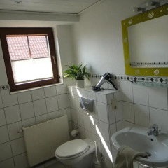 Отель Ferienwohnung Dresden Германия, Дрезден - отзывы, цены и фото номеров - забронировать отель Ferienwohnung Dresden онлайн ванная