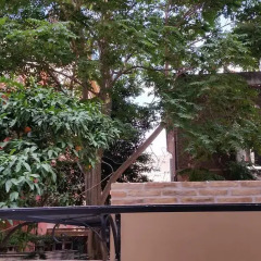 Отель Monti Garden балкон