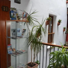 Отель Hostal Al-Andalus Испания, Кониль-де-ла-Фронтера - отзывы, цены и фото номеров - забронировать отель Hostal Al-Andalus онлайн развлечения