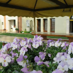 Отель Agriturismo L'Albara Италия, Лимена - отзывы, цены и фото номеров - забронировать отель Agriturismo L'Albara онлайн фото 4