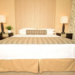 Отель The Berkley Las Vegas (No Resort Fees) США, Лас-Вегас - отзывы, цены и фото номеров - забронировать отель The Berkley Las Vegas (No Resort Fees) онлайн комната для гостей фото 5