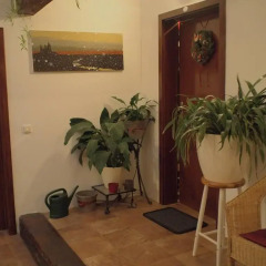 Апартаменты Metropolis Prague Apartments-zlaty Dvur Прага спа фото 2