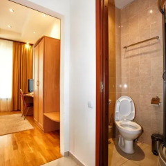 Гостиница Алексеевский 2* Номер Делюкс с различными типами кроватей фото 5