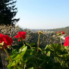Отель Agriturismo Al Colle Del Ciliegio Италия, Региональный парк Colli Euganei - отзывы, цены и фото номеров - забронировать отель Agriturismo Al Colle Del Ciliegio онлайн фото 5