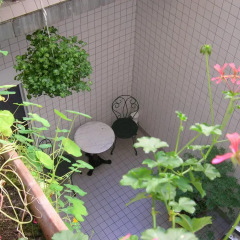 Hotel Darcet