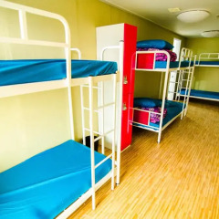 Kimchee Sinchon Guesthouse - Hostel Кровать в женском общем номере с двухъярусной кроватью фото 22