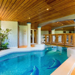 Отель Dream Homes Private Villa Венгрия, Будапешт - отзывы, цены и фото номеров - забронировать отель Dream Homes Private Villa онлайн бассейн фото 3