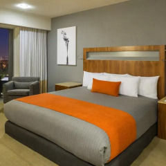 Отель Real Inn Expo Номер Делюкс фото 2