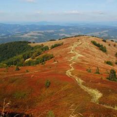 Гостиница Милитари-усадьба Grün Hof Украина, Поляна - отзывы, цены и фото номеров - забронировать гостиницу Милитари-усадьба Grün Hof онлайн приотельная территория