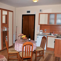 Апартаменты TES Flora Apartments Студия фото 7