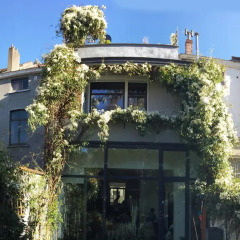 Отель B&B D&F Suites Brussels Бельгия, Брюссель - отзывы, цены и фото номеров - забронировать отель B&B D&F Suites Brussels онлайн фото 4