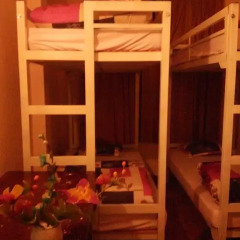 Tiny Tigers Hostel Кровать в общем номере с двухъярусной кроватью фото 4