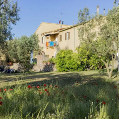 Отель Agriturismo Greppo All'olivo Кастаньето-Кардуччи приотельная территория
