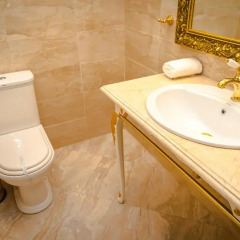 Hotel Petrovsky Prichal Luxury Hotel&SPA 5* Люкс разные типы кроватей фото 17