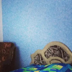 Гостиница Agria Guest House в Анапе отзывы, цены и фото номеров - забронировать гостиницу Agria Guest House онлайн Анапа детские мероприятия фото 3