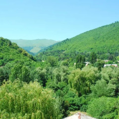 Отель Vanadzor Armenia Health Resort Армения, Дзорагет - отзывы, цены и фото номеров - забронировать отель Vanadzor Armenia Health Resort онлайн фото 4