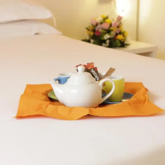 Отель ibis Styles Roma Vintage (Opening February 2019) 4* Стандартный номер с различными типами кроватей фото 4