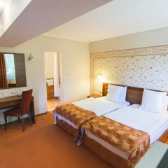 SPA Hotel Borova Gora 4* Полулюкс с различными типами кроватей фото 4