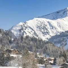 Отель Le Grand Chalet фото 7