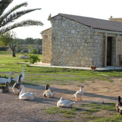 Отель Masseria Copertini Верноле фитнесс-зал