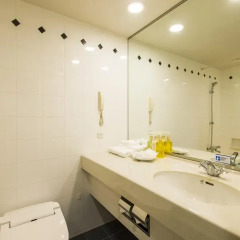Hotel Villa Fontaine Tokyo-Shiodome 3* Стандартный номер с различными типами кроватей фото 13
