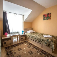 Гостиница Золотой лев 2* Номер категории Эконом с двуспальной кроватью фото 4