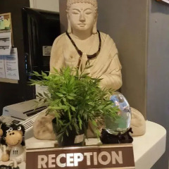 Отель Yes Chinatown Point Сингапур питание