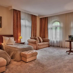 Grand Hotel Stamary Wellness & Spa 4* Номер Делюкс с различными типами кроватей фото 8