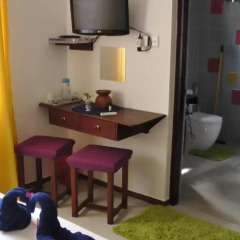 Отель Aura Beach Villa Шри-Ланка, Берувела - отзывы, цены и фото номеров - забронировать отель Aura Beach Villa онлайн удобства в номере