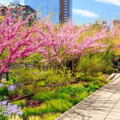 Отель Gansevoort Meatpacking США, Нью-Йорк - отзывы, цены и фото номеров - забронировать отель Gansevoort Meatpacking онлайн приотельная территория