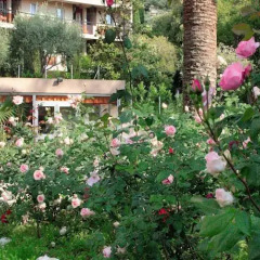 Отель Residence Nice Les Palmiers фото 22