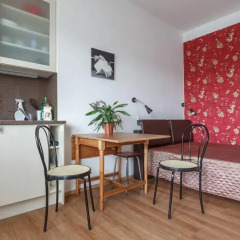 Апартаменты Modern studio Opletalova в номере фото 2
