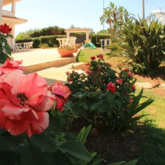 Отель Villa Trinacria Италия, Сиракуза - отзывы, цены и фото номеров - забронировать отель Villa Trinacria онлайн фото 4