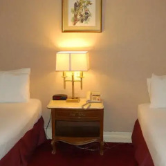 Windsor Inn Hotel детские мероприятия