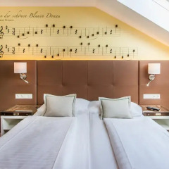 Boutique Hotel Donauwalzer 3* Стандартный номер с двуспальной кроватью фото 17