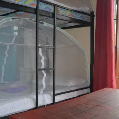 Отель Olive Tree Guest House ванная