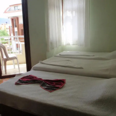 Aloe Apart Hotel комната для гостей фото 4