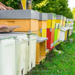 Отель La Posa degli Agri Италия, Лимена - отзывы, цены и фото номеров - забронировать отель La Posa degli Agri онлайн фото 2