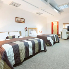 Garni Hotel Villa Family 2* Номер категории Эконом фото 11