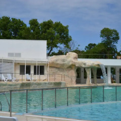 Отель Villas Ropotamo Maisonette Болгария, Приморско - отзывы, цены и фото номеров - забронировать отель Villas Ropotamo Maisonette онлайн бассейн