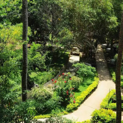 Отель Siddhalepa Ayurveda Health Resort 4* Улучшенный номер с различными типами кроватей