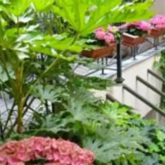Hotel Jardin De L'odeon Париж