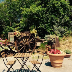 Отель Il Giardino Degli Ulivi Боргомаро