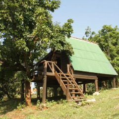 Отель Nature Lodge 2* Бунгало Эконом с различными типами кроватей фото 3