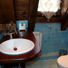 Отель Apartamentos Solsalient ванная