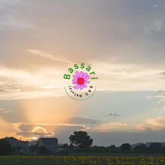 Отель Agriturismo Bassarì Италия, Реканати - отзывы, цены и фото номеров - забронировать отель Agriturismo Bassarì онлайн приотельная территория