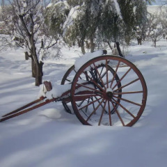 Отель Posada del Maitén Сан-Рафаэль приотельная территория