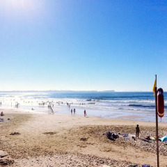 Freesurf Camp & Hostel пляж